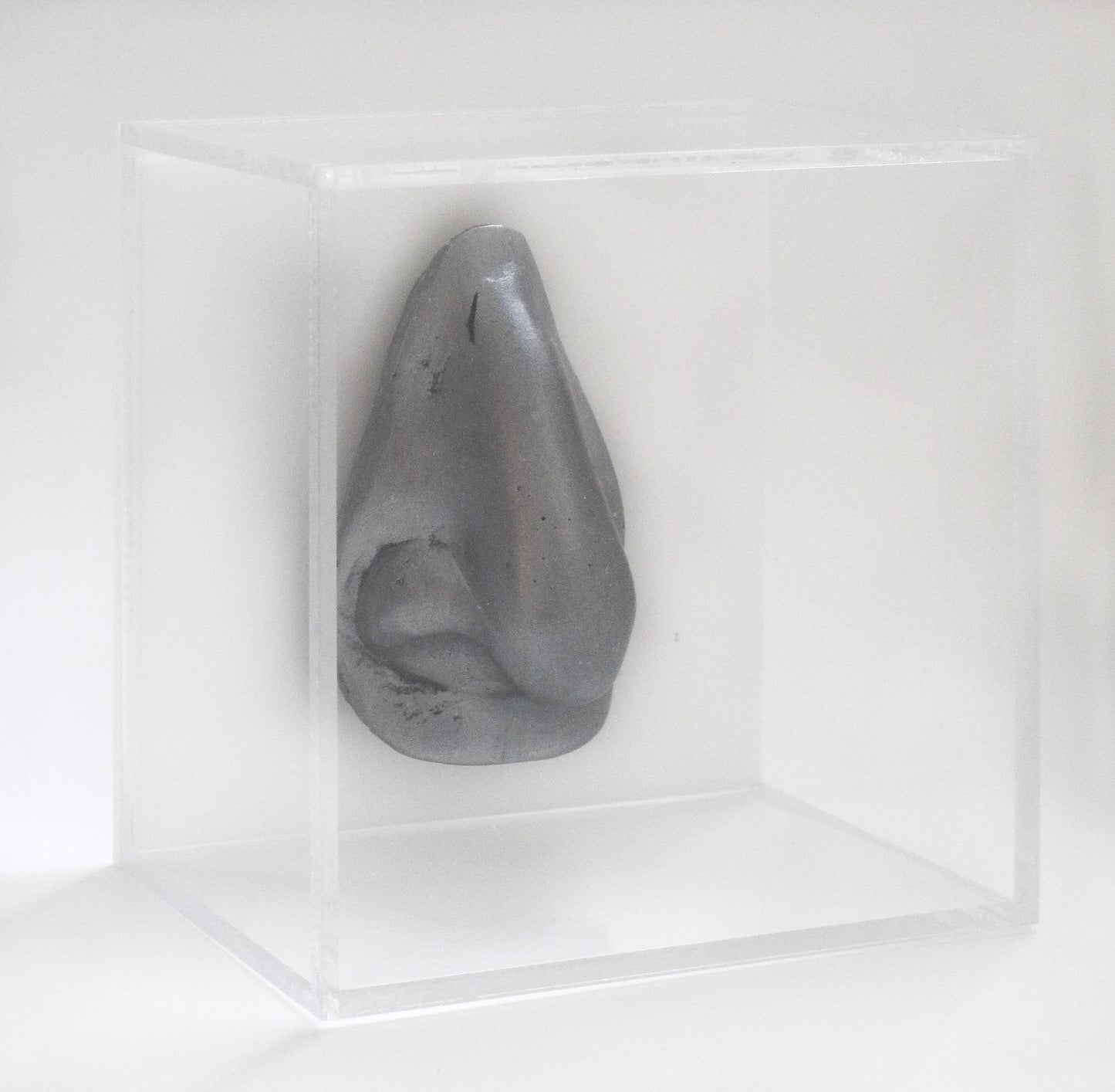 "The Silver Nose" Marina Abramovic