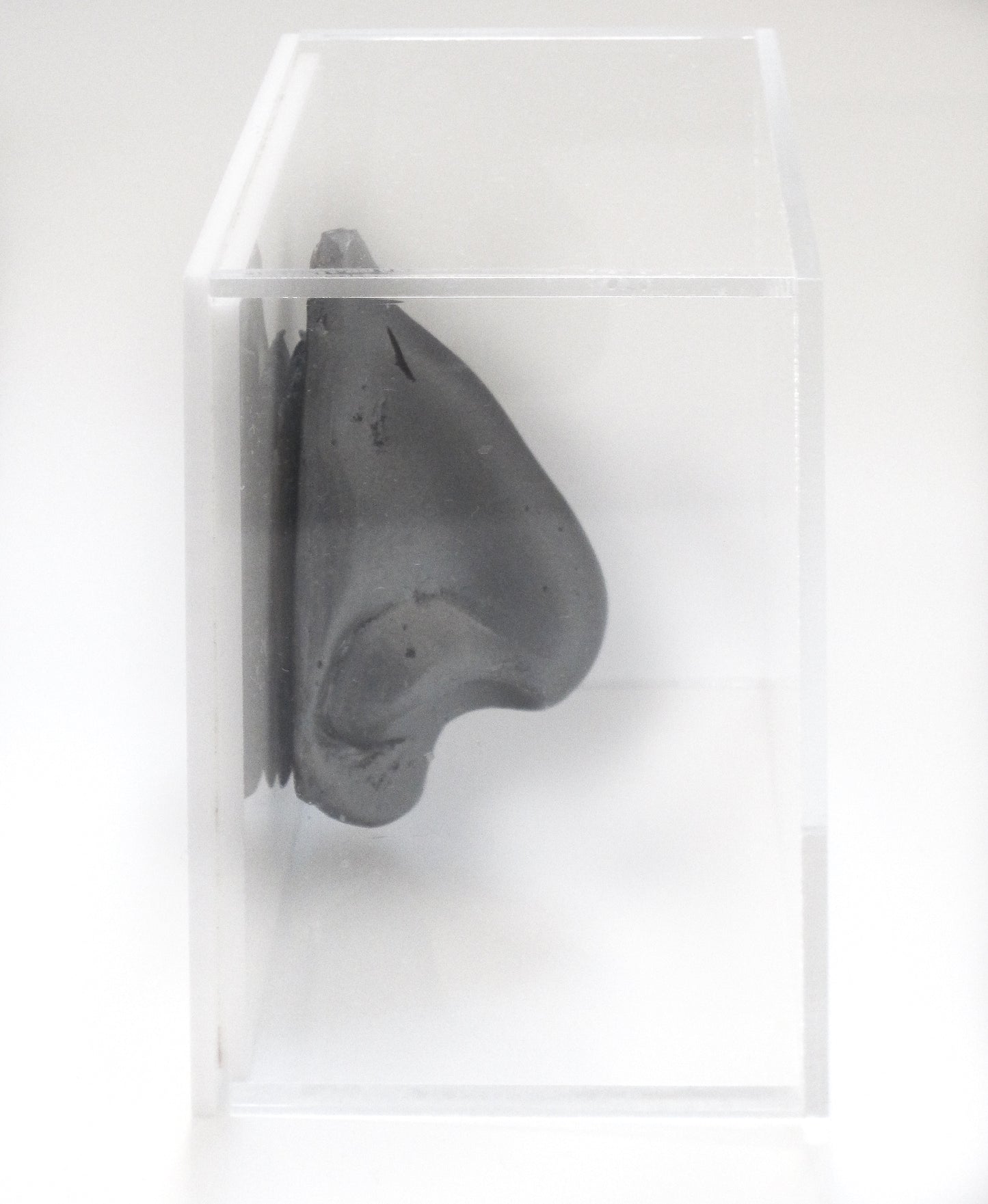 "The Silver Nose" Marina Abramovic